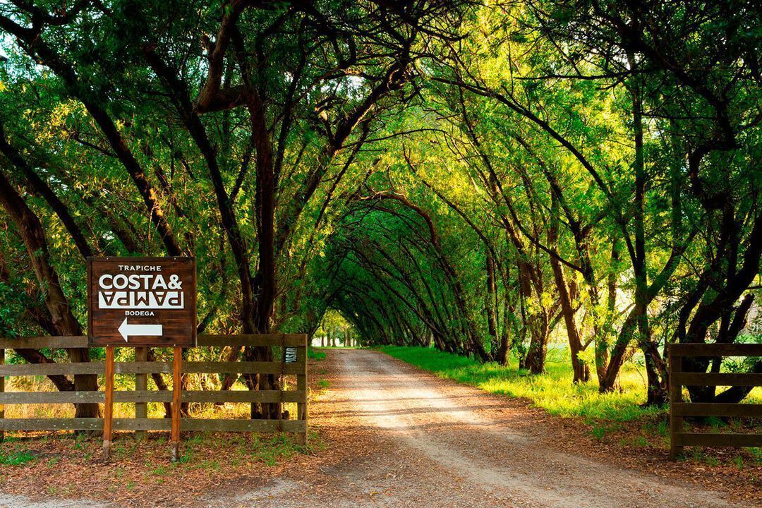 Photo of Outdoor in Colonia Chapadmalal