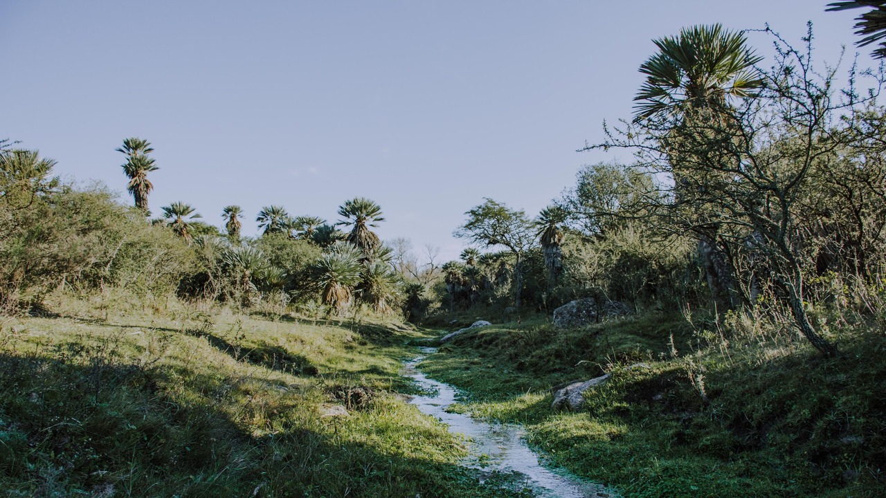 Photo of Outdoor in San Pedro Norte