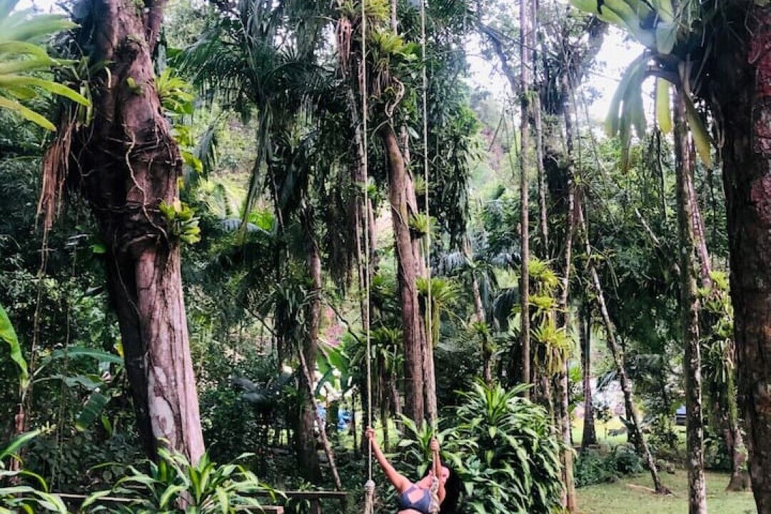 Photo of Outdoor in Morretes
