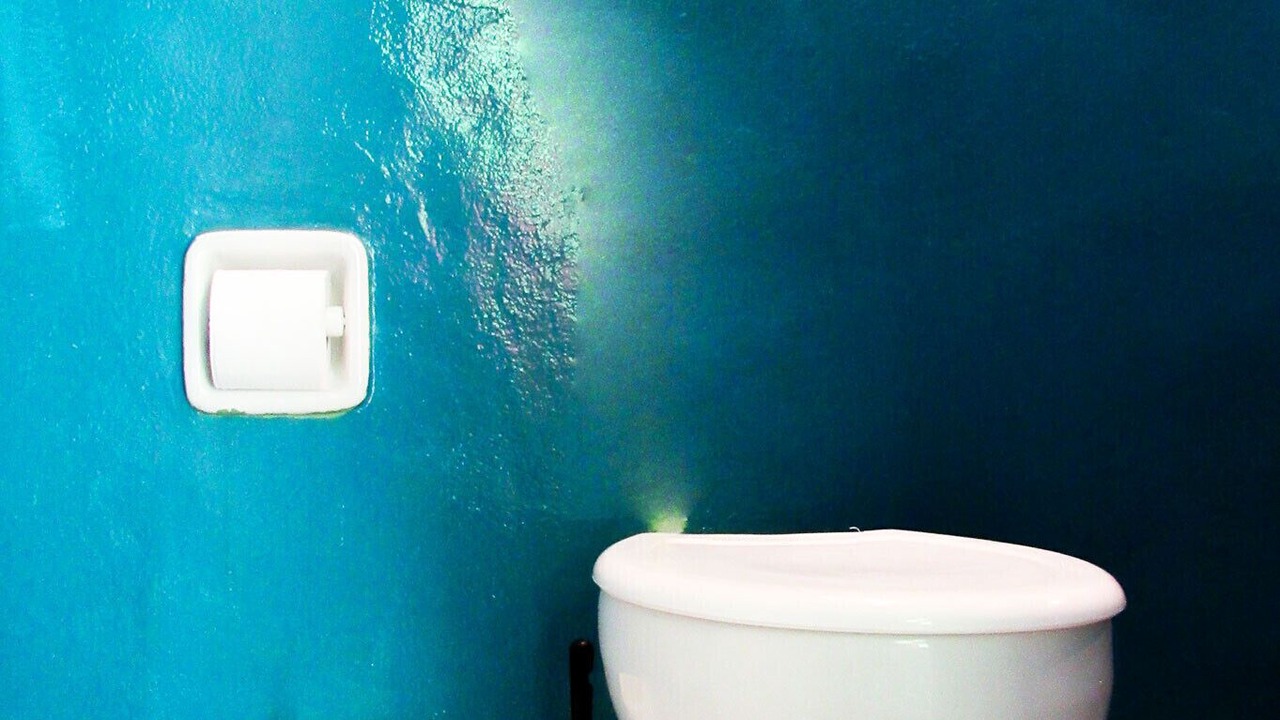 Photo of Bathroom in Felix