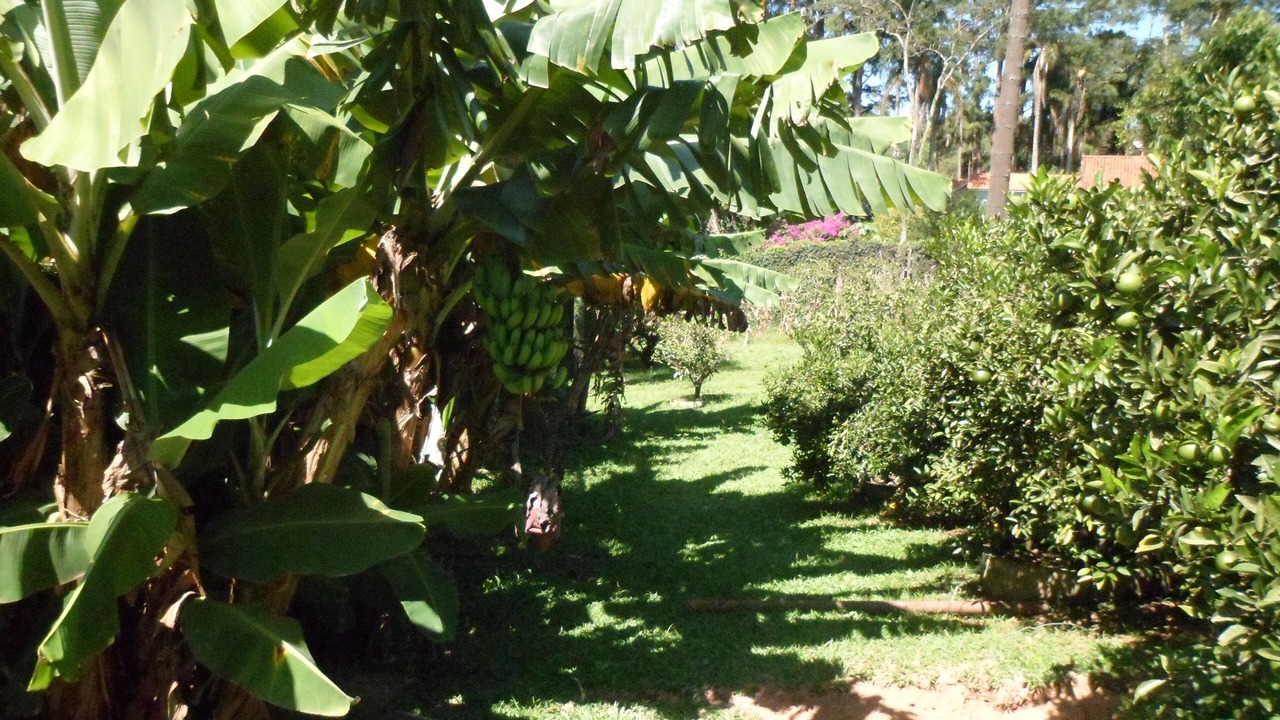 Photo of Outdoor in Vargem Grande Paulista