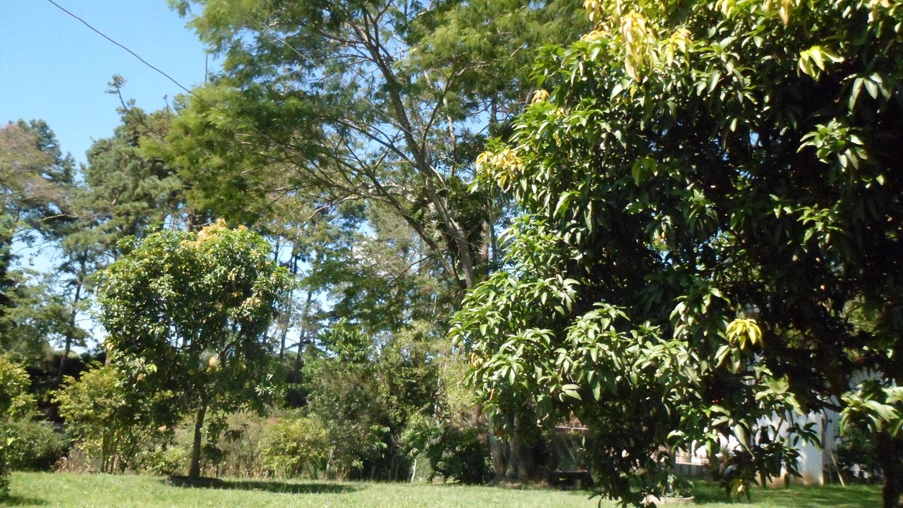 Photo of Outdoor in Vargem Grande Paulista