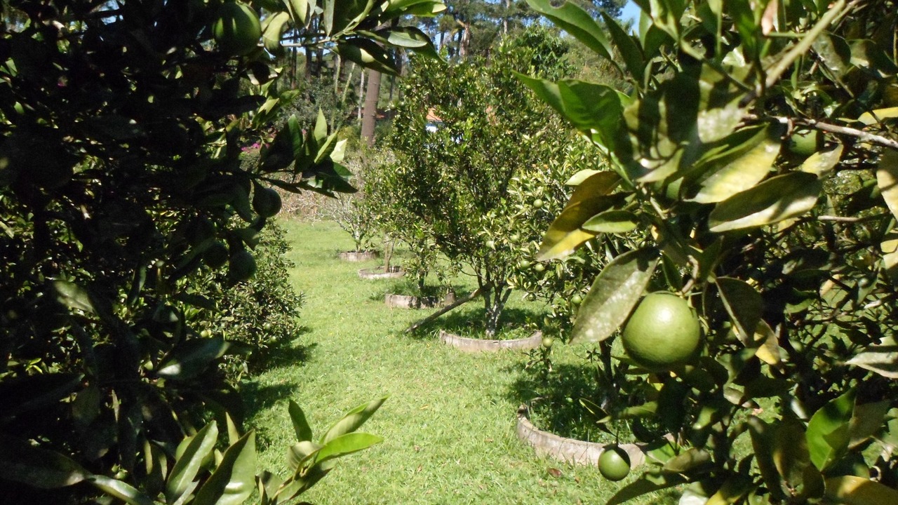Photo of Outdoor in Vargem Grande Paulista