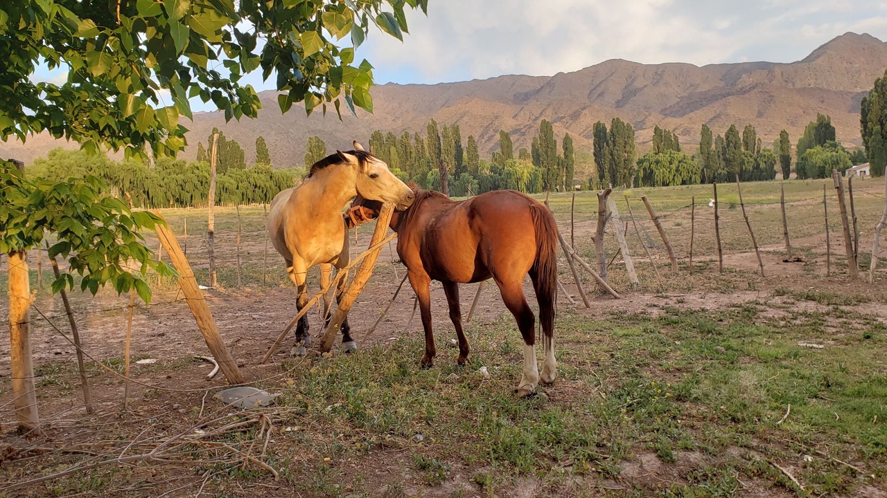 Photo of Outdoor in Uspallata