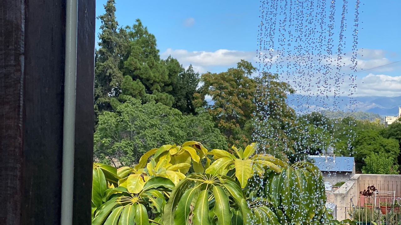 Photo of Outdoor in Civic Park