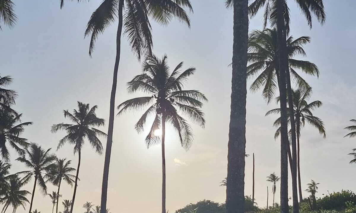Photo of Outdoor in Barra do Jacuipe