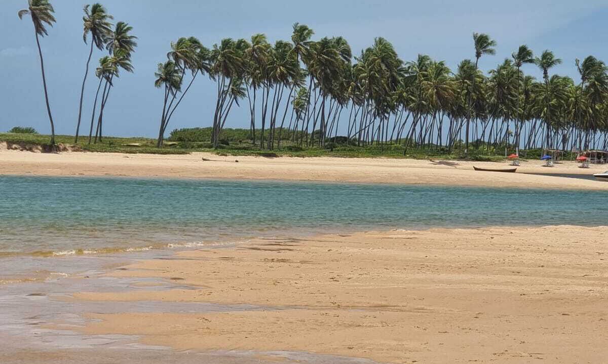 Photo of Others in Barra do Jacuipe