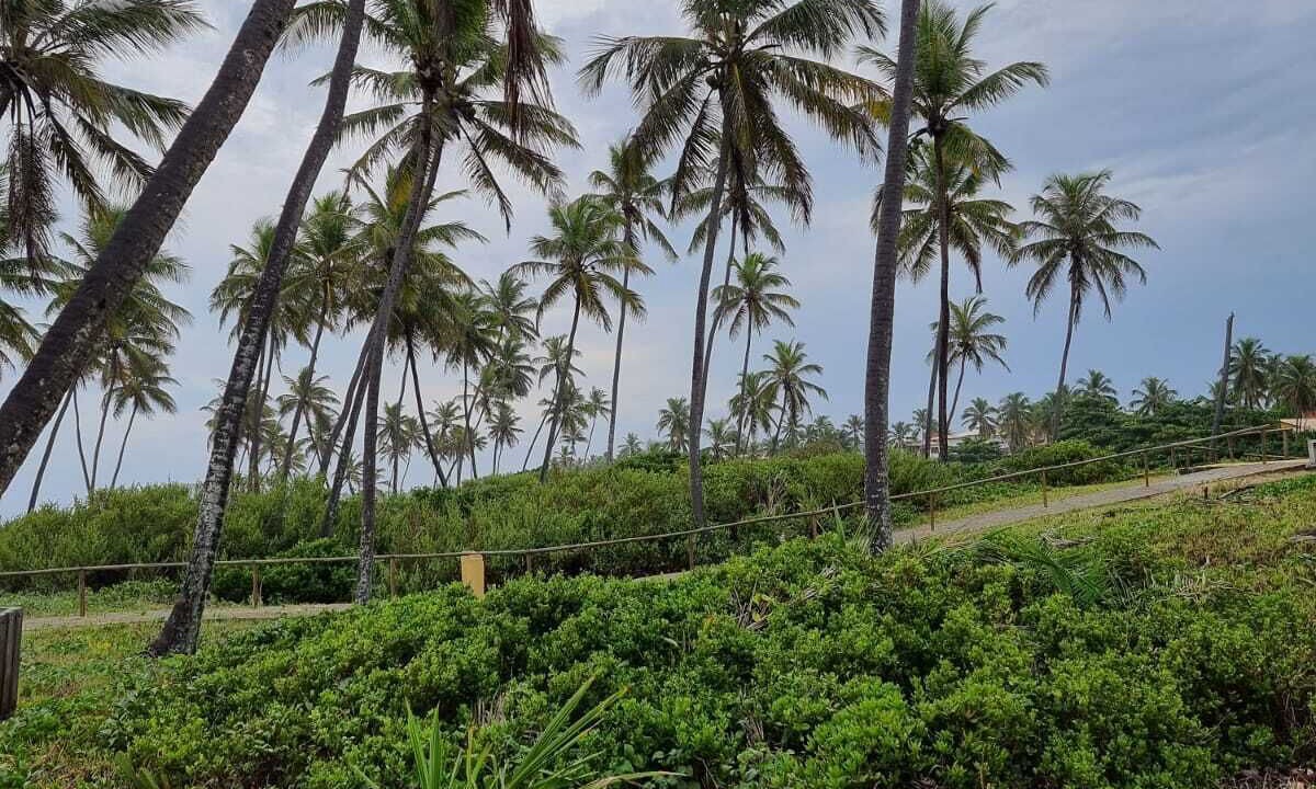 Photo of Outdoor in Barra do Jacuipe