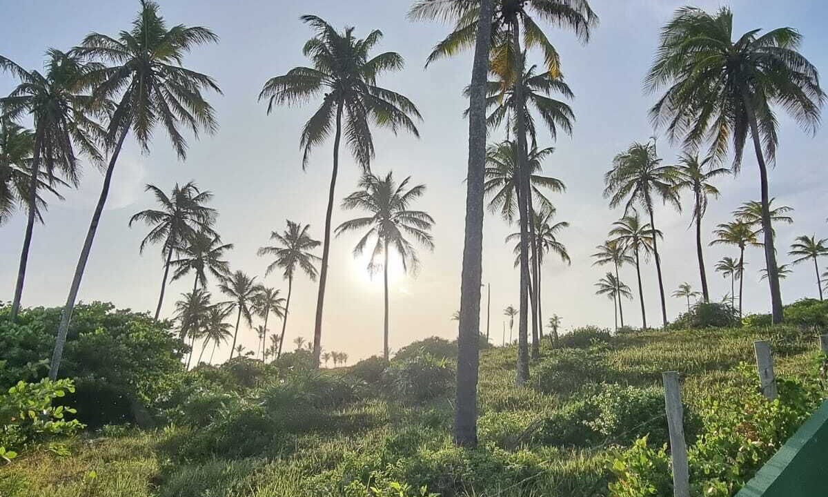 Photo of Others in Barra do Jacuipe