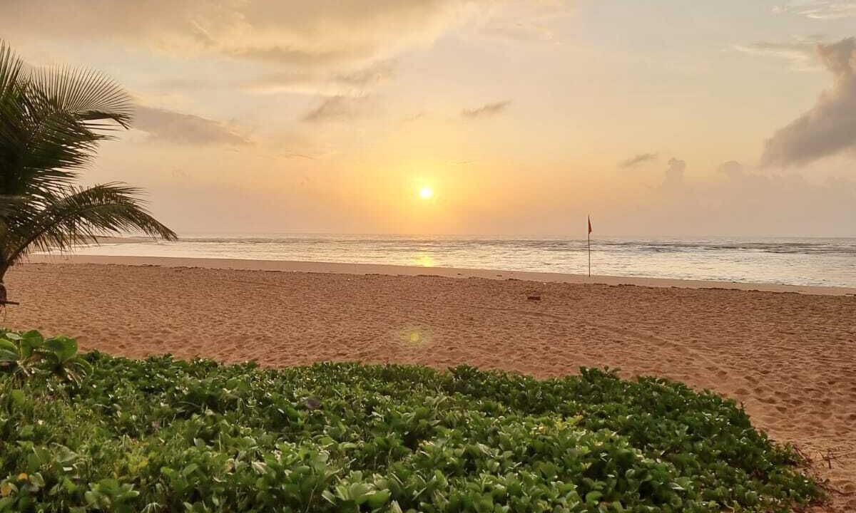 Photo of Others in Barra do Jacuipe