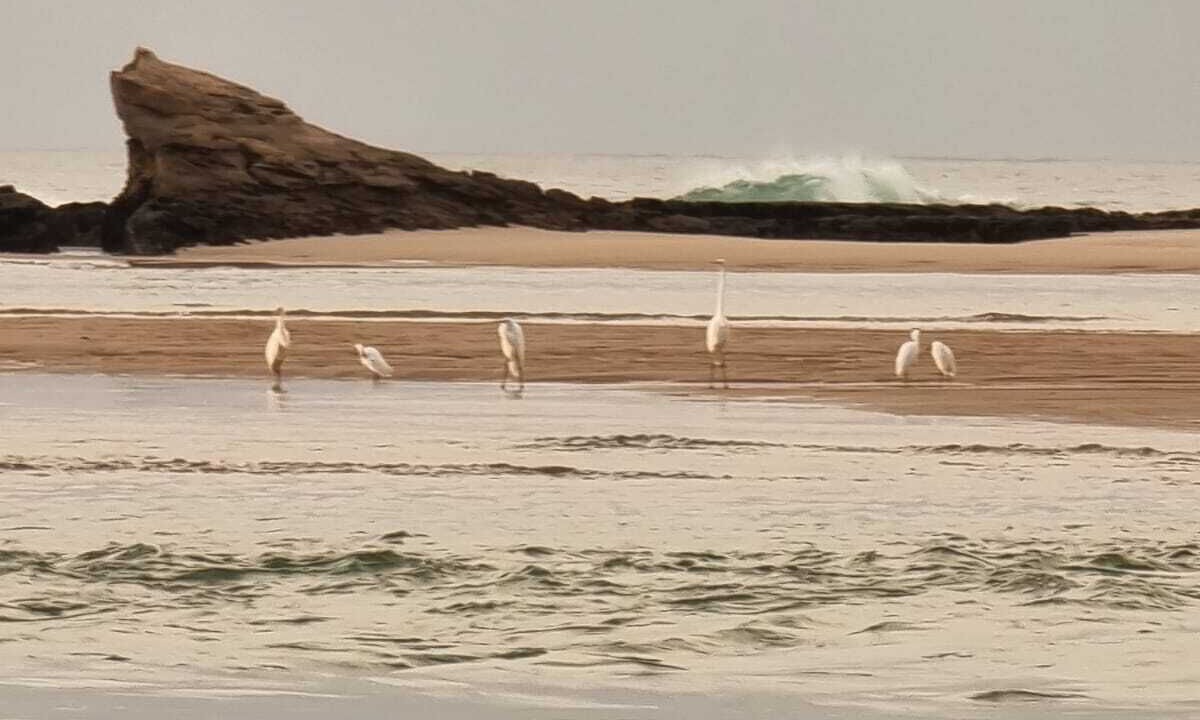 Photo of Others in Barra do Jacuipe