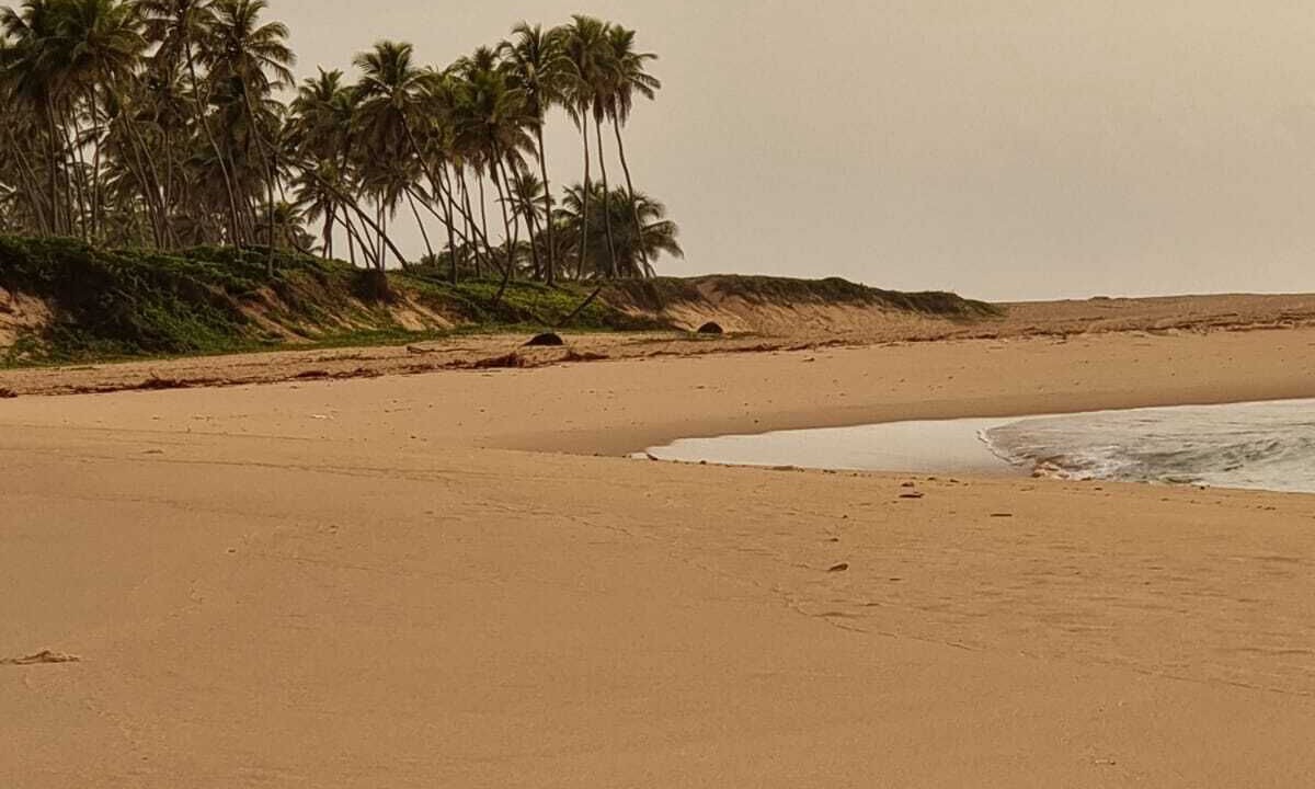 Photo of Others in Barra do Jacuipe