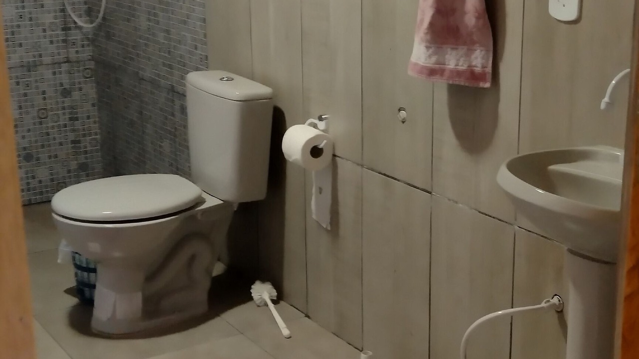 Photo of Bathroom in Santana