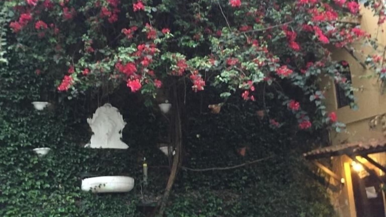 Photo of Outdoor in Pinheiros