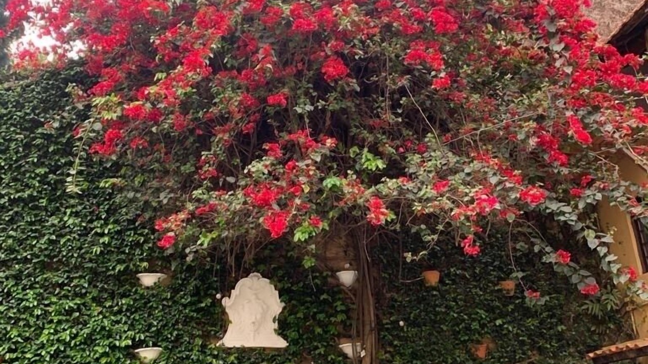 Photo of Outdoor in Pinheiros