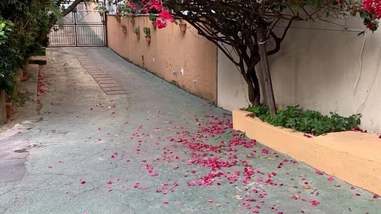 Photo of Outdoor in Pinheiros