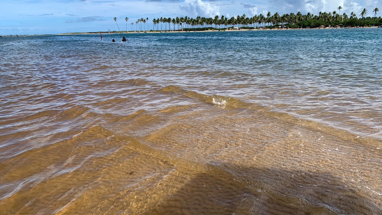 Photo of Others in Barra do Jacuipe