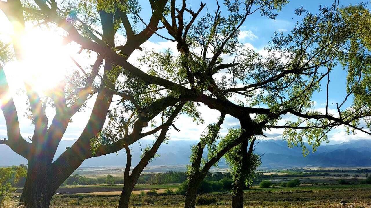 Photo of Outdoor in Tupungato