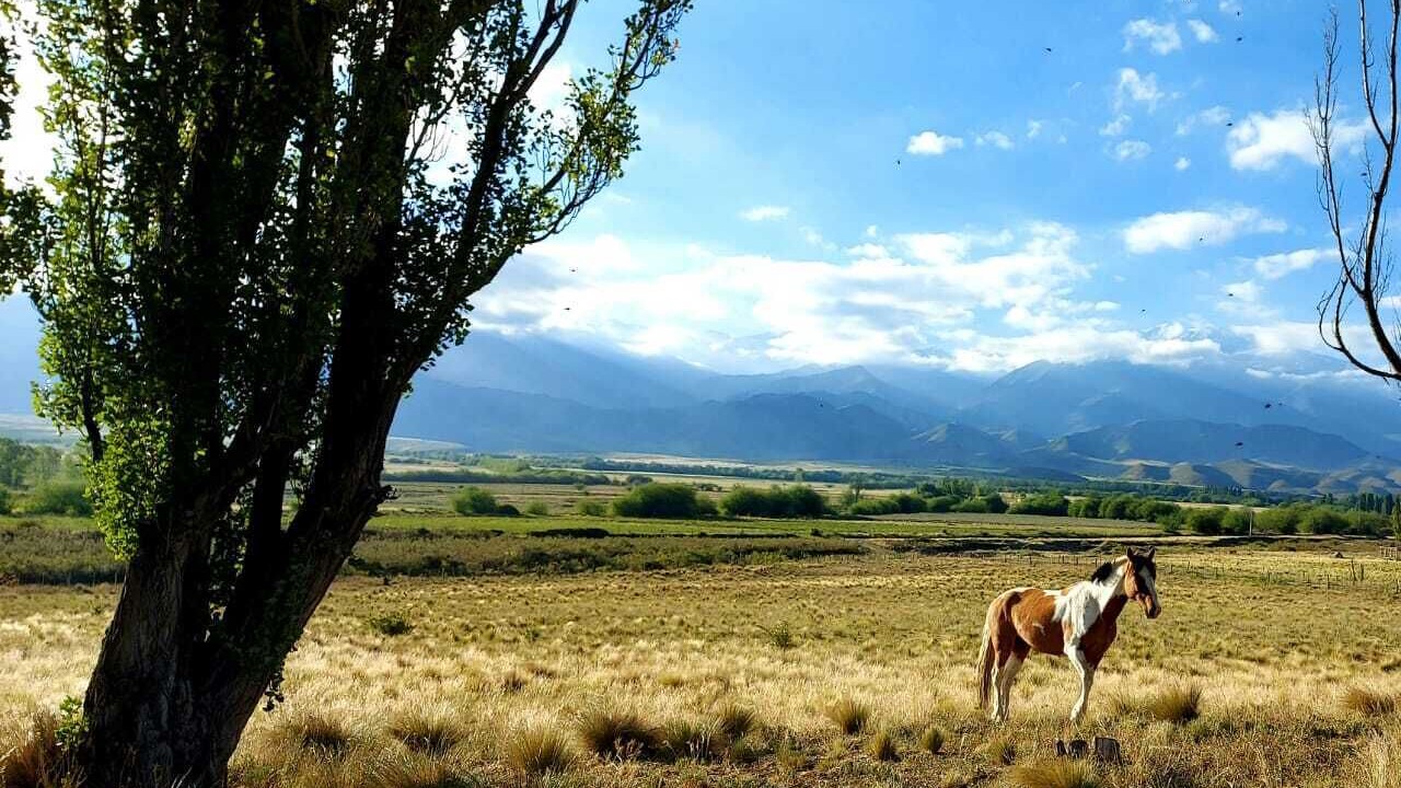 Photo of Outdoor in Tupungato