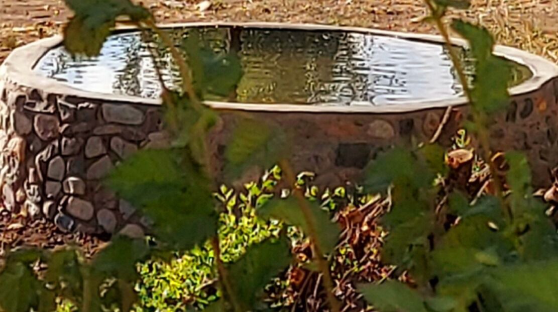 Photo of Outdoor in Tupungato