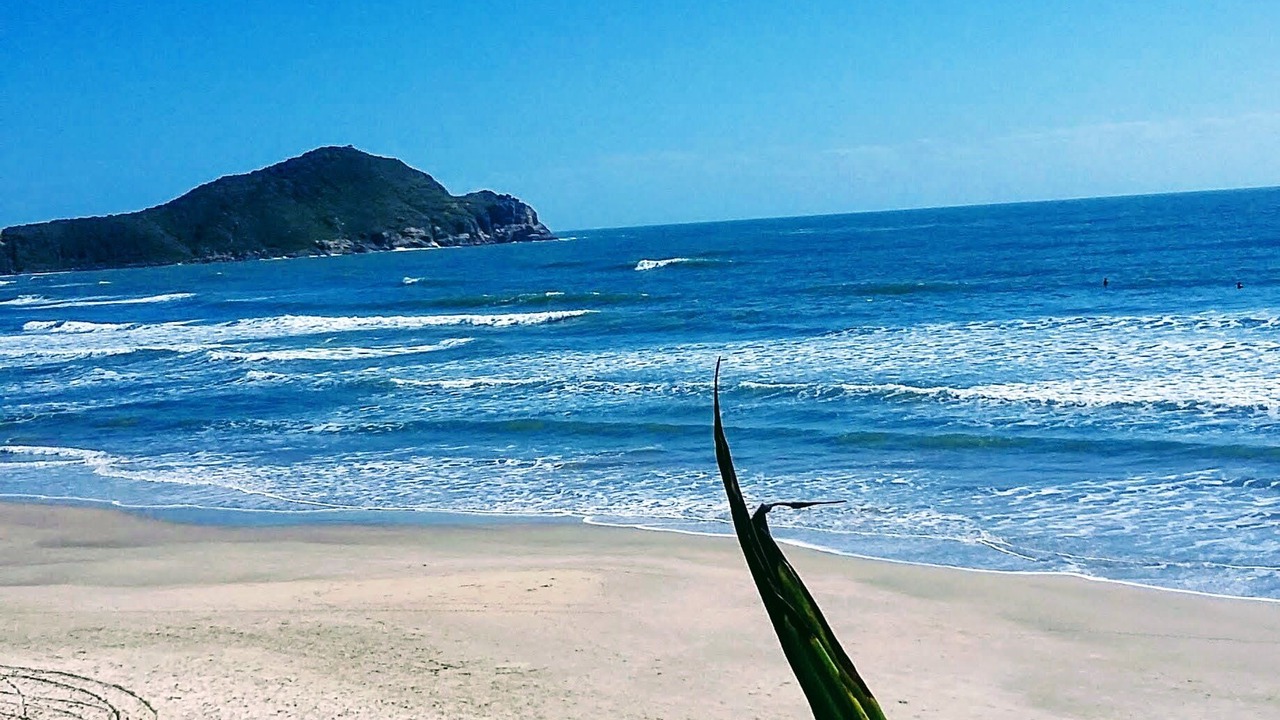 Photo of Others in Praia do Rosa