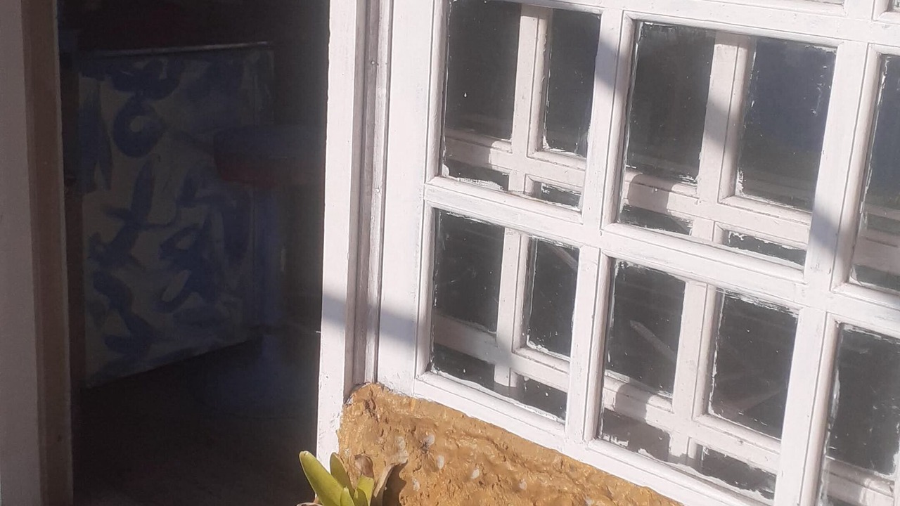 Photo of Outdoor in Praia do Rosa