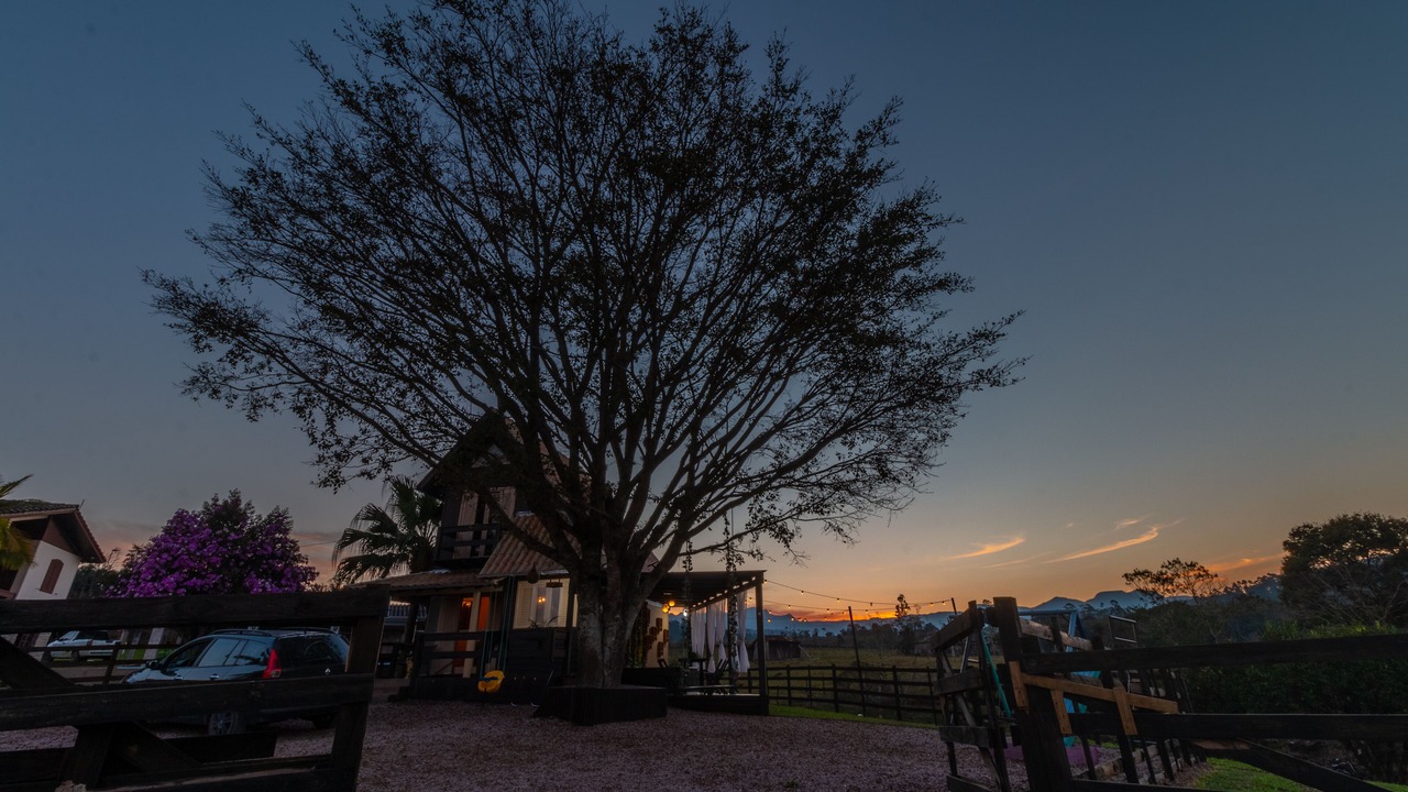 Photo of Outdoor in Nova Veneza