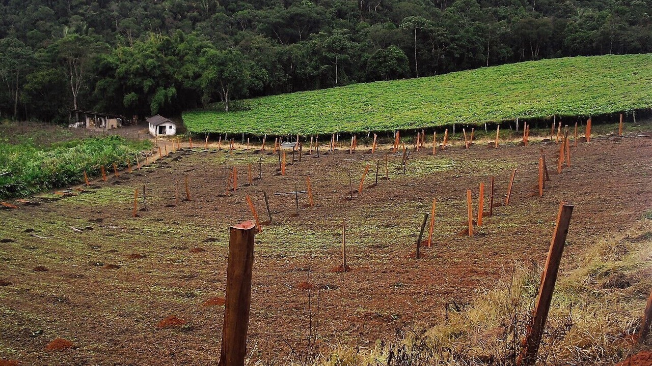 Photo of Others in Teresopolis