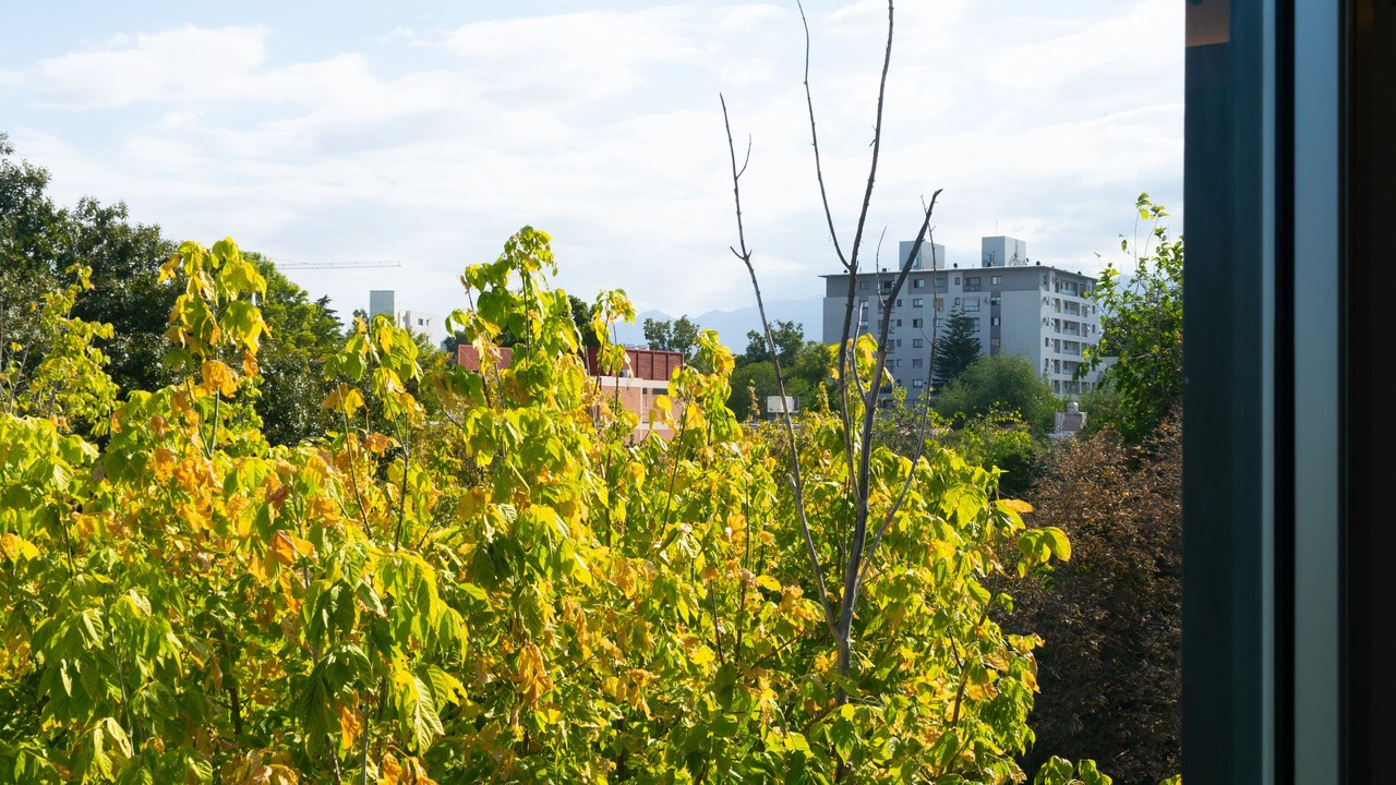 Photo of Others in Godoy Cruz