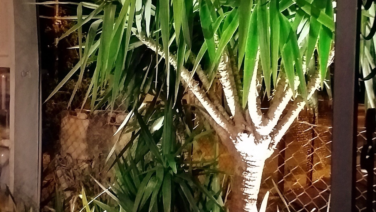 Photo of Outdoor in Serra Negra