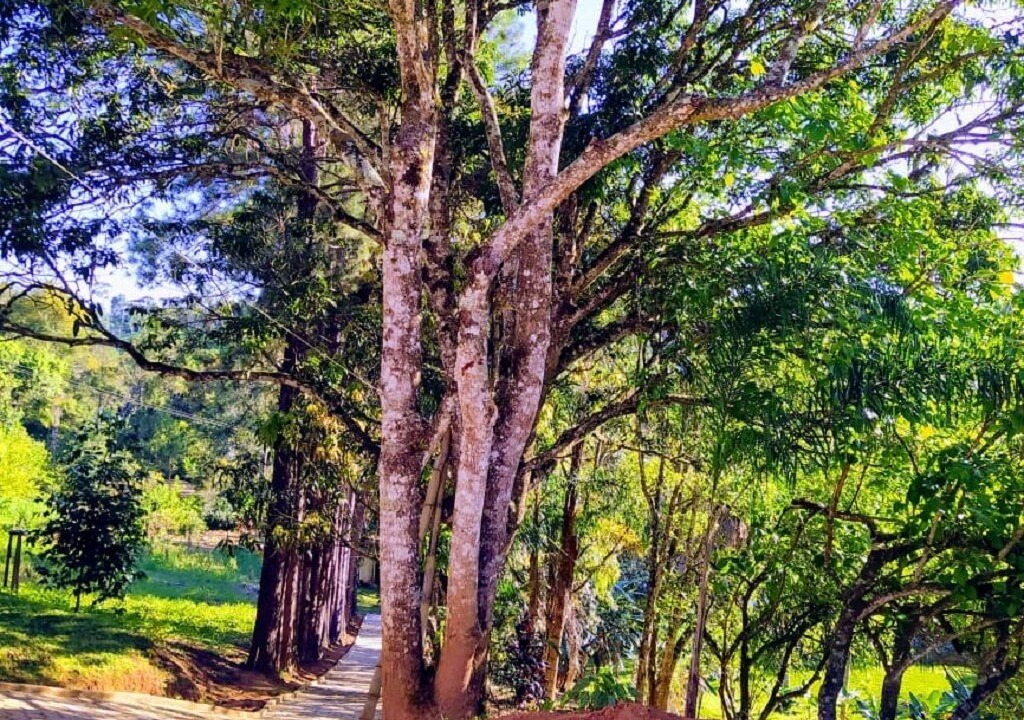 Photo of Outdoor in Igarata