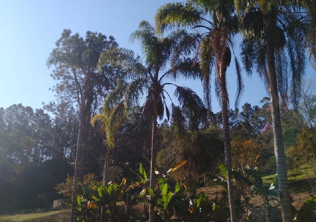 Photo of Outdoor in Igarata