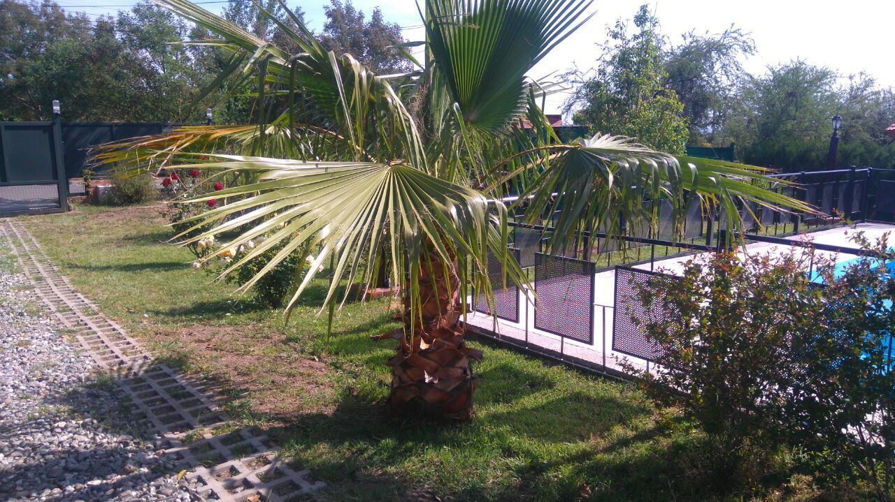 Photo of Outdoor in Merlo