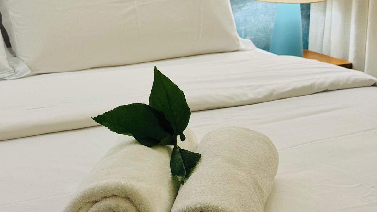 Photo of Bedroom in Pipa