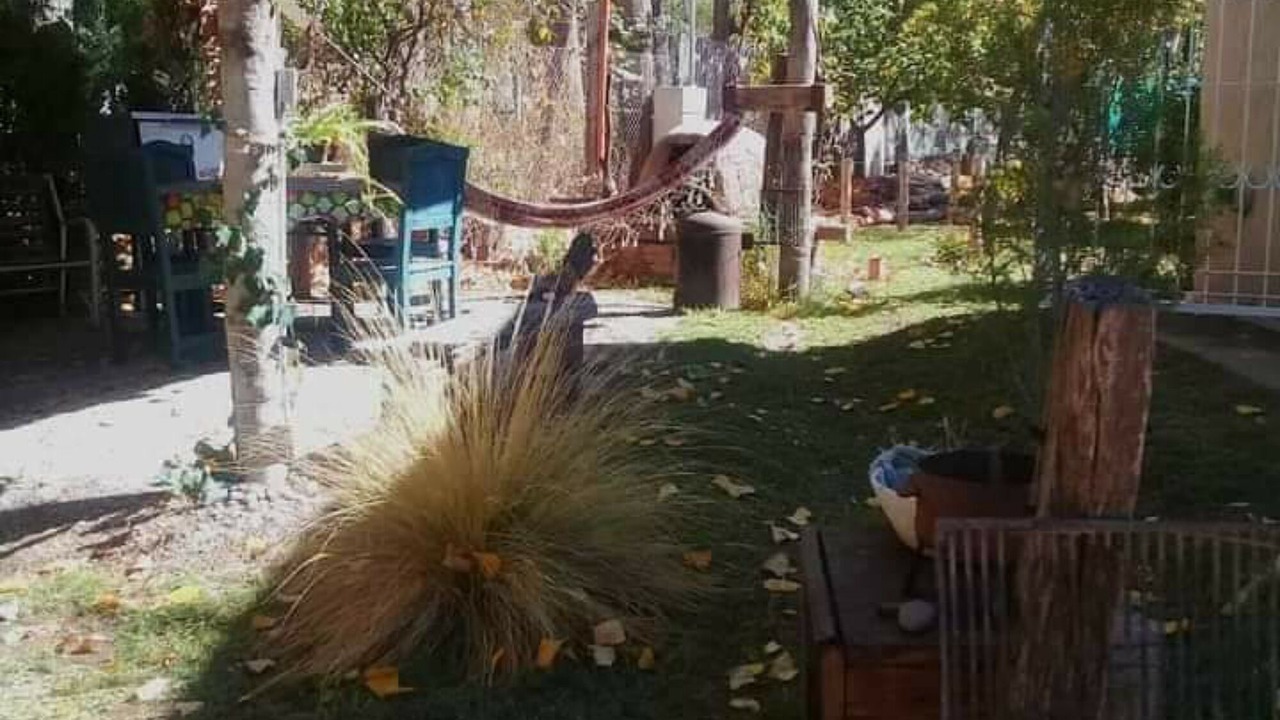 Photo of Outdoor in Chacras de Coria