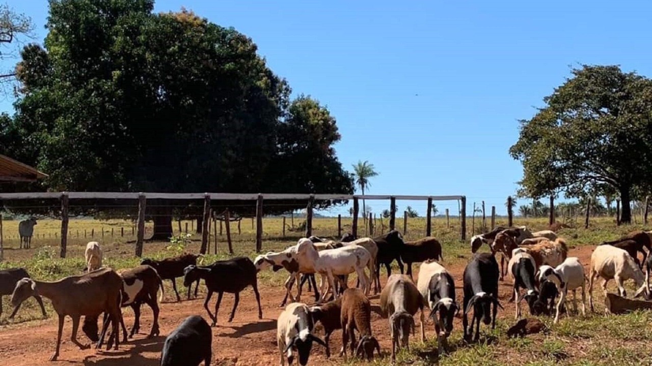 Photo of Outdoor in Feira Nova do Maranhao