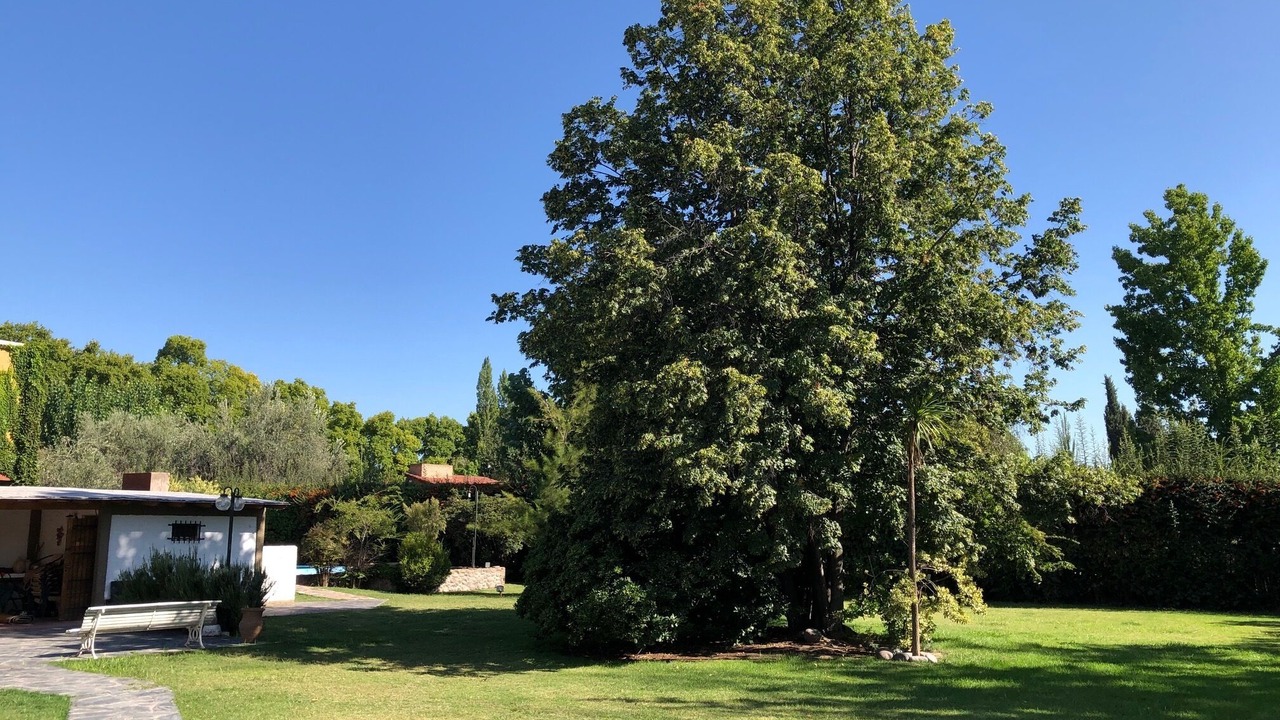 Photo of Outdoor in Lujan de Cuyo