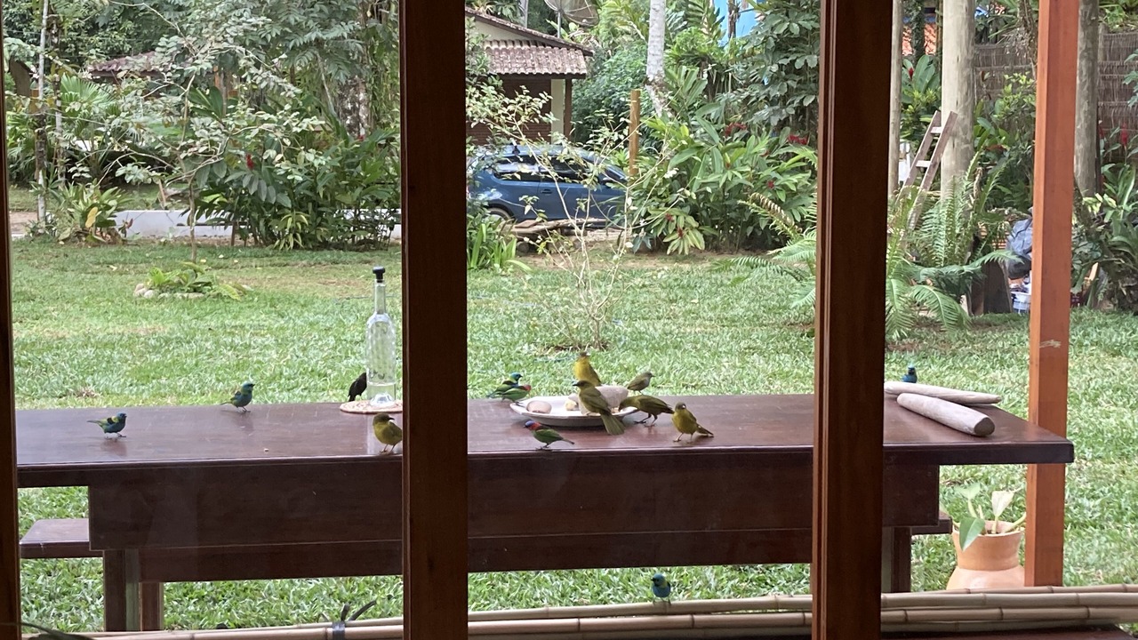 Photo of Outdoor in Itamambuca