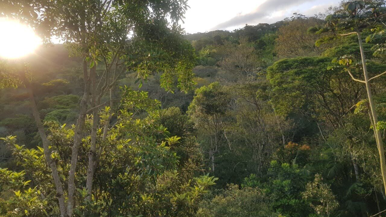 Photo of Outdoor in Siriu