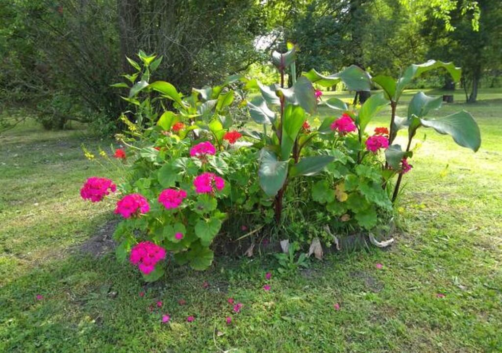 Photo of Outdoor in Chascomus