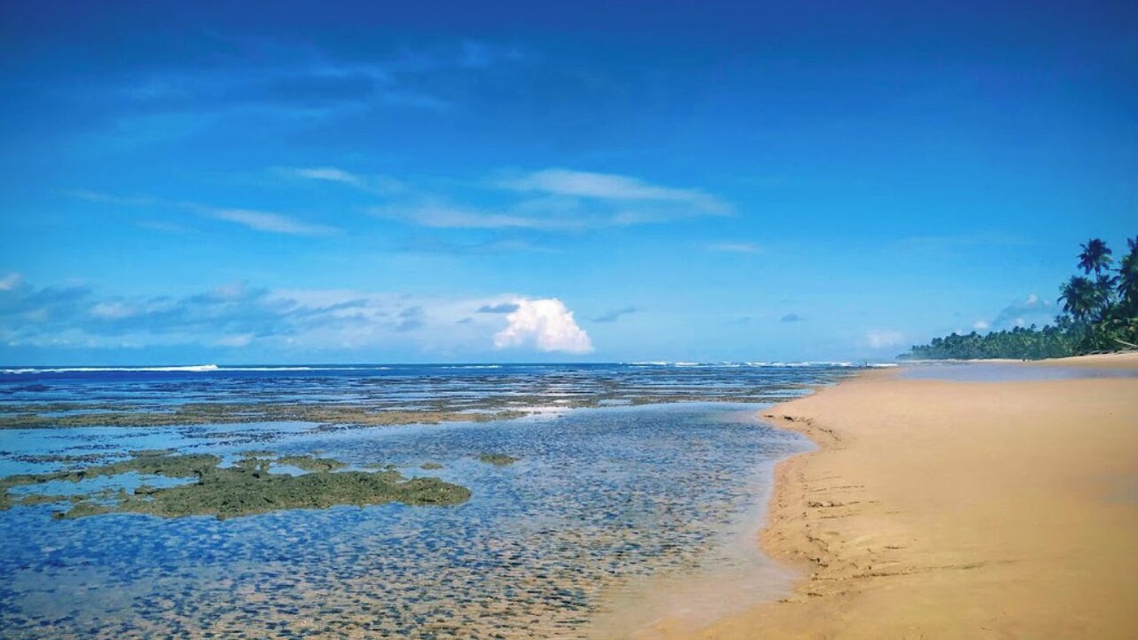 Photo of Others in Barra Grande