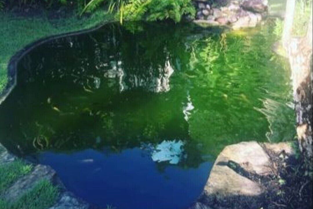 Photo of Outdoor in Santa Cruz Cabralia
