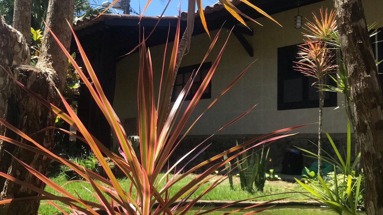 Photo of Outdoor in Santa Cruz Cabralia