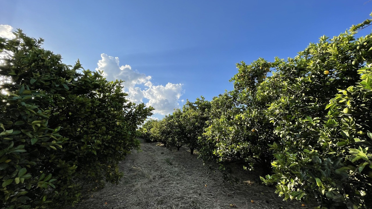 Photo of Outdoor in Avare