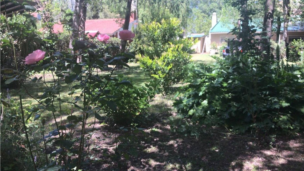 Photo of Outdoor in Mar de Cobo