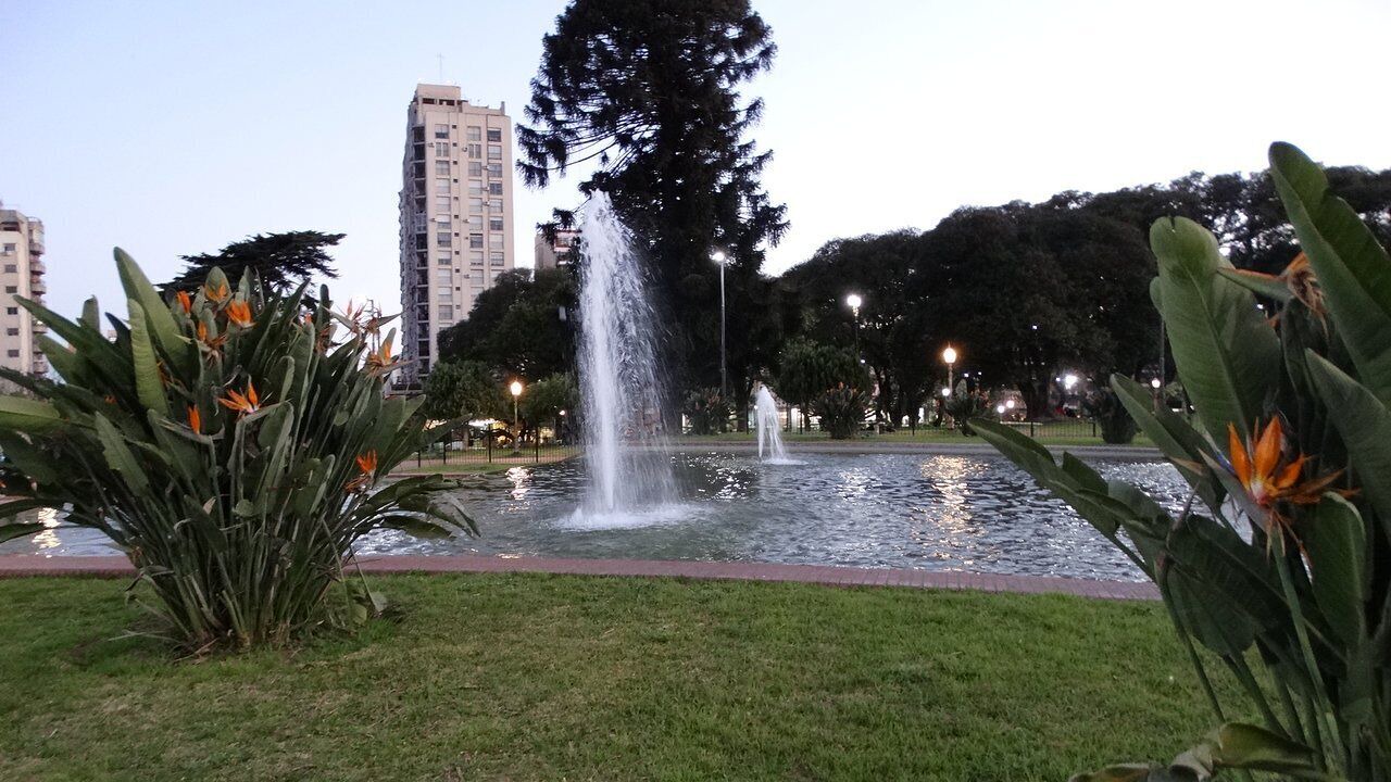 Photo of Outdoor in Flores