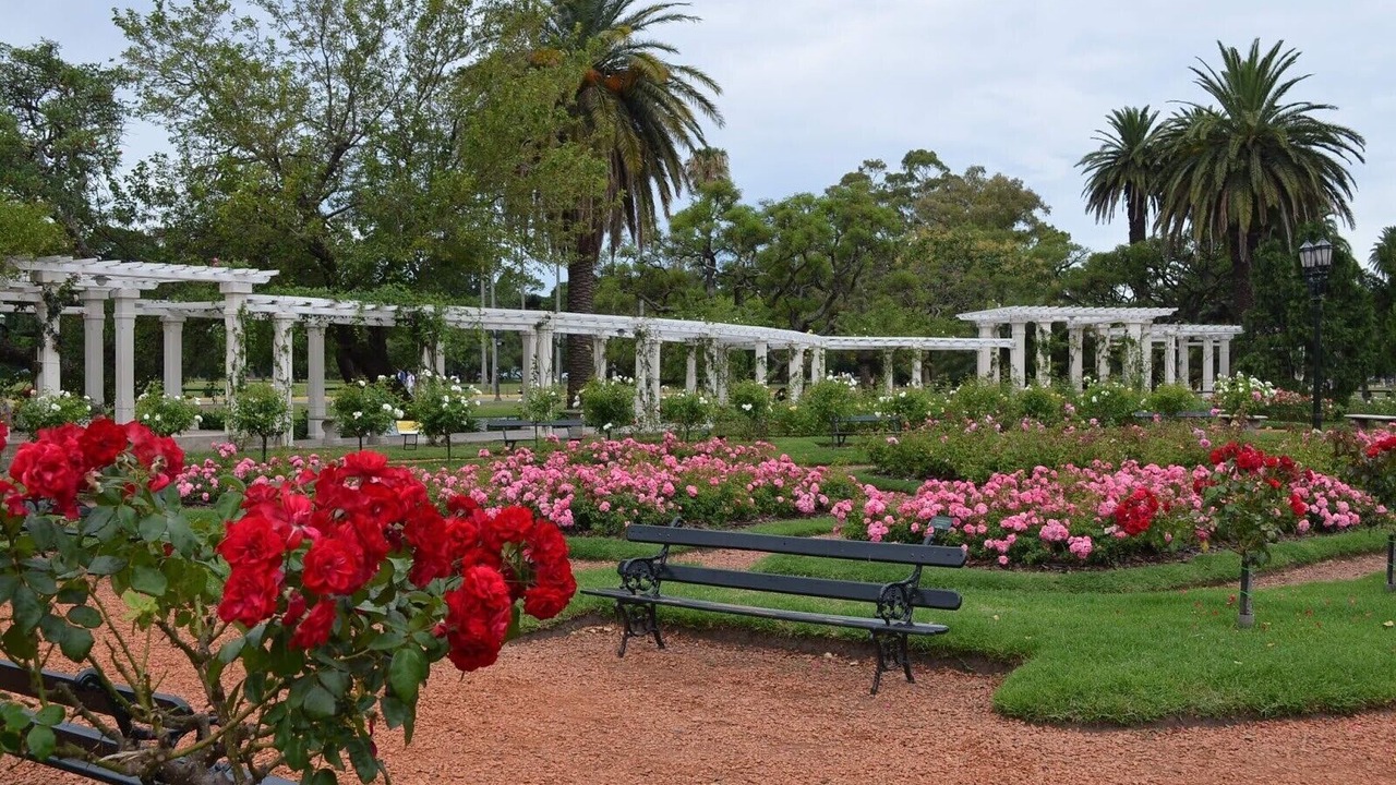 Photo of Outdoor in Flores