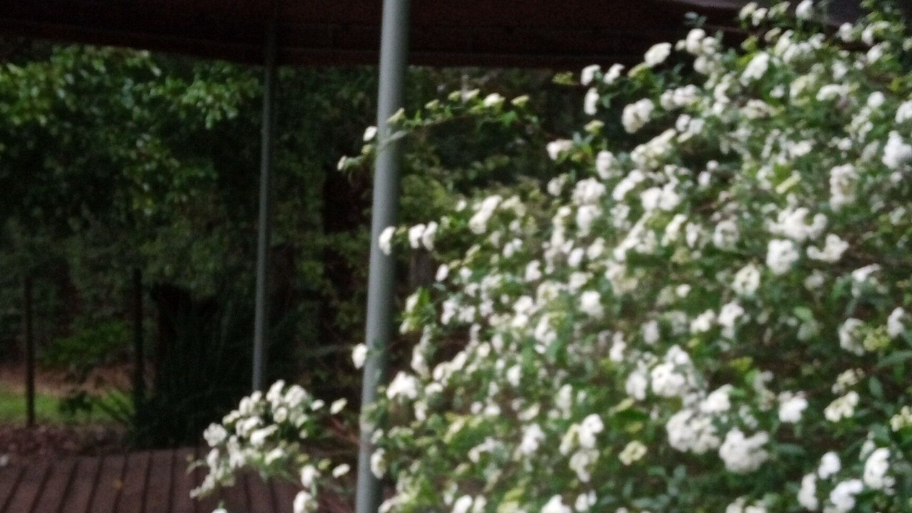 Photo of Patio Balcony in Viamao