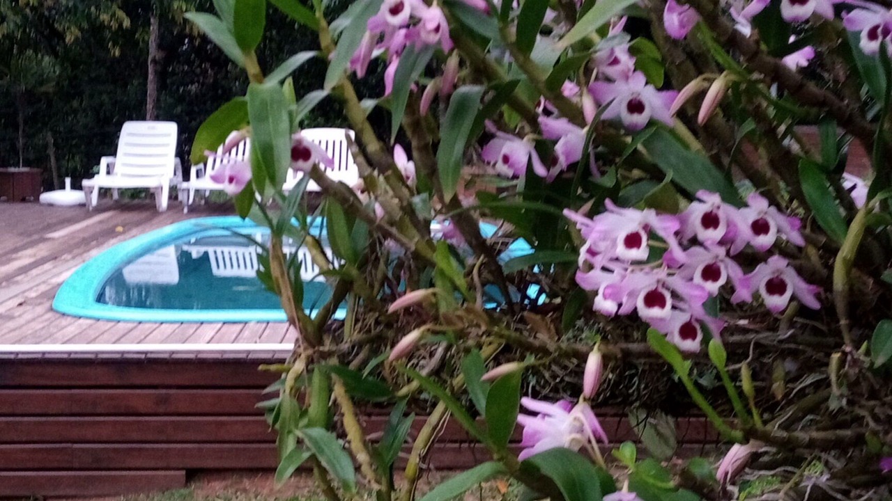 Photo of Outdoor in Viamao