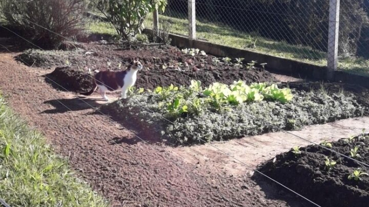 Photo of Outdoor in Viamao
